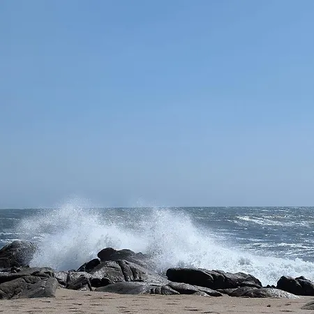 Da Mata2 *